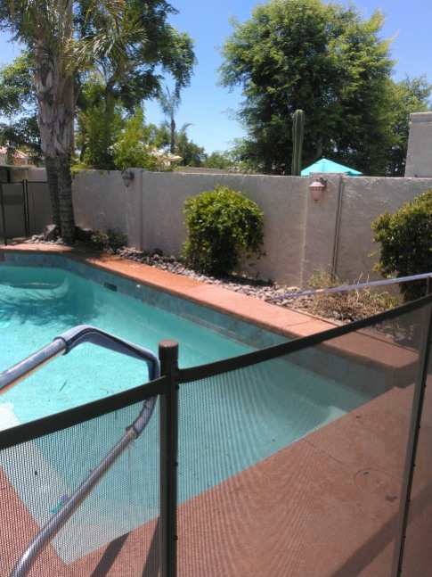 Alia's Tree Services And Landscaping project