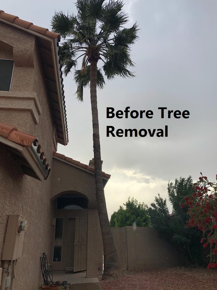 Alia's Tree Services And Landscaping project