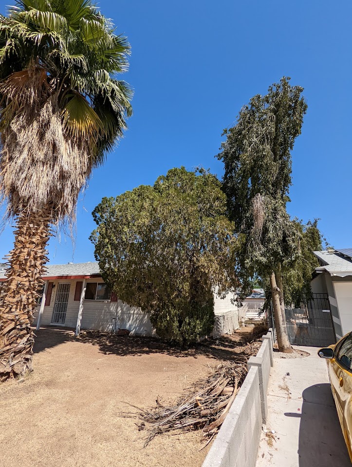 Alia's Tree Services And Landscaping project